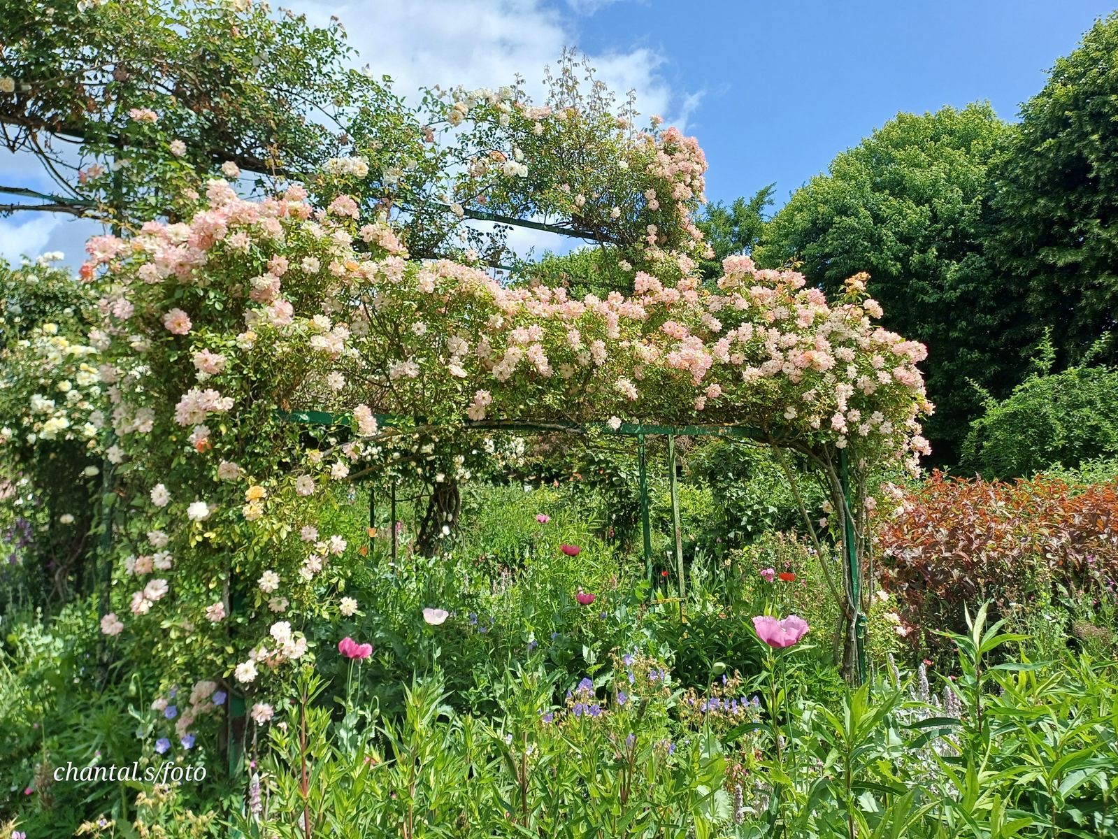Giverny 080