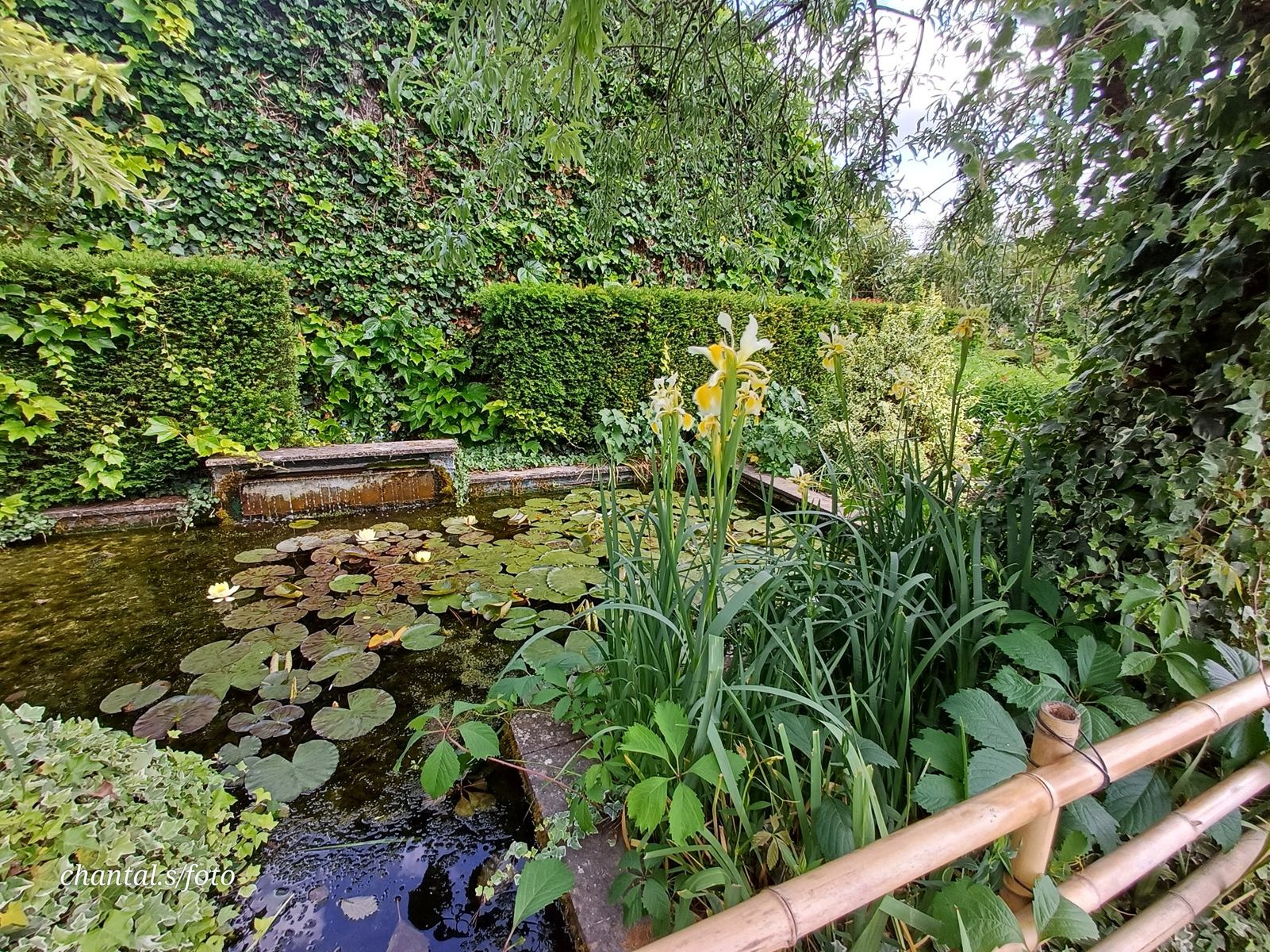 Giverny 083
