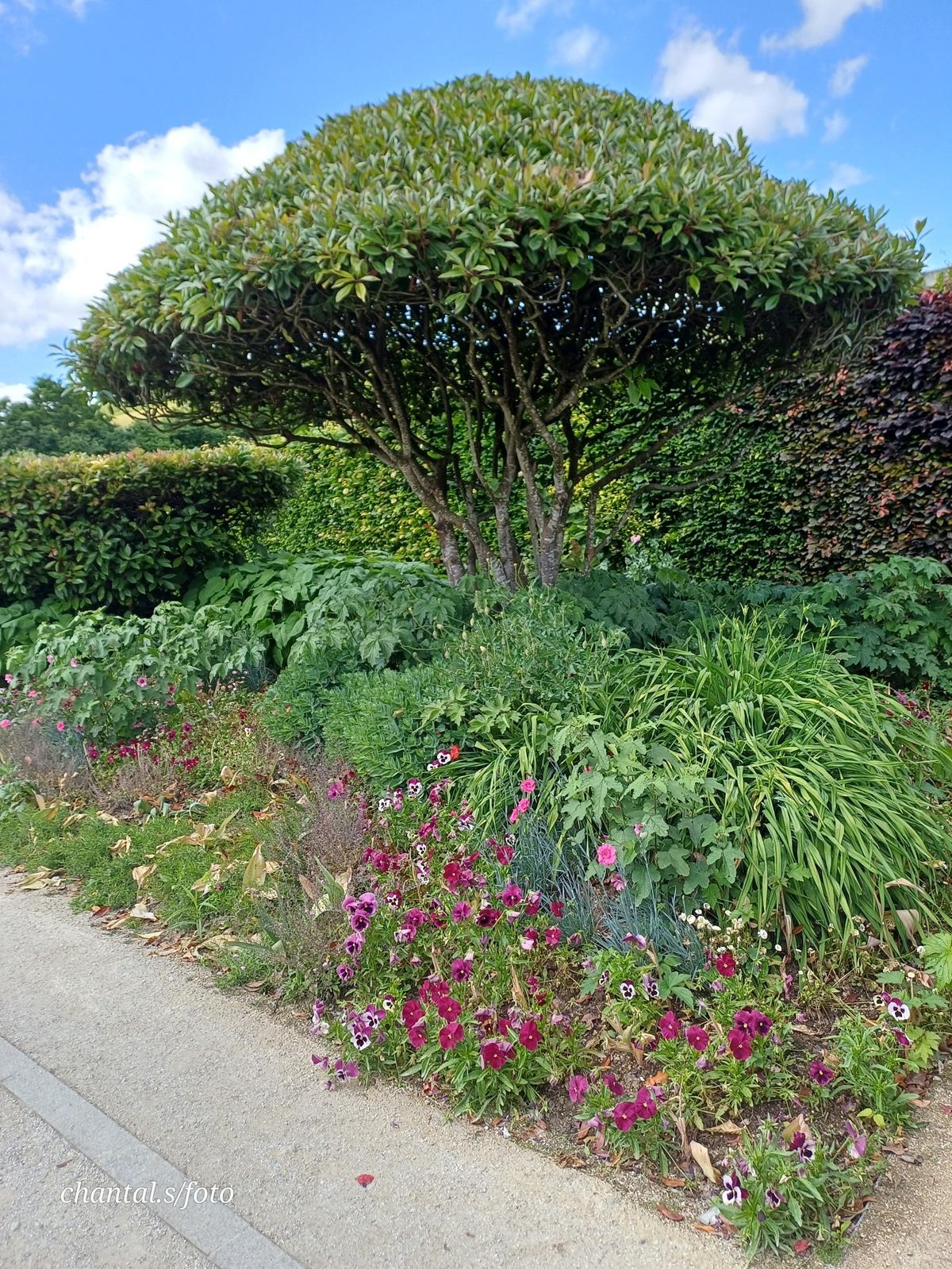 Giverny 085