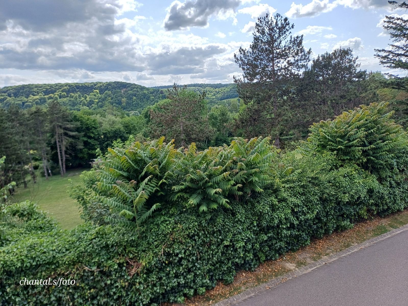 Giverny 090