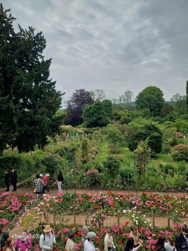 Giverny 100