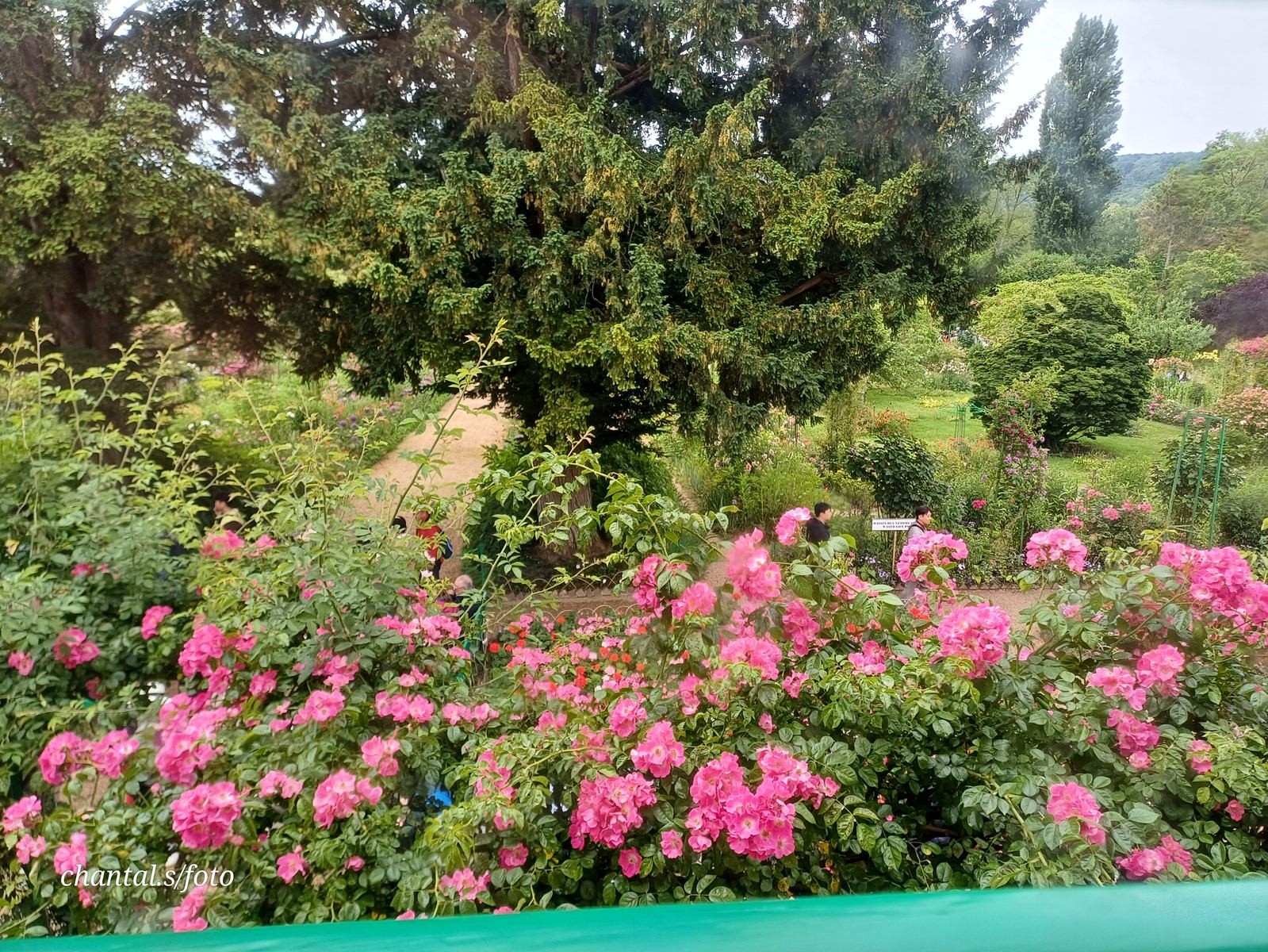 Giverny 102