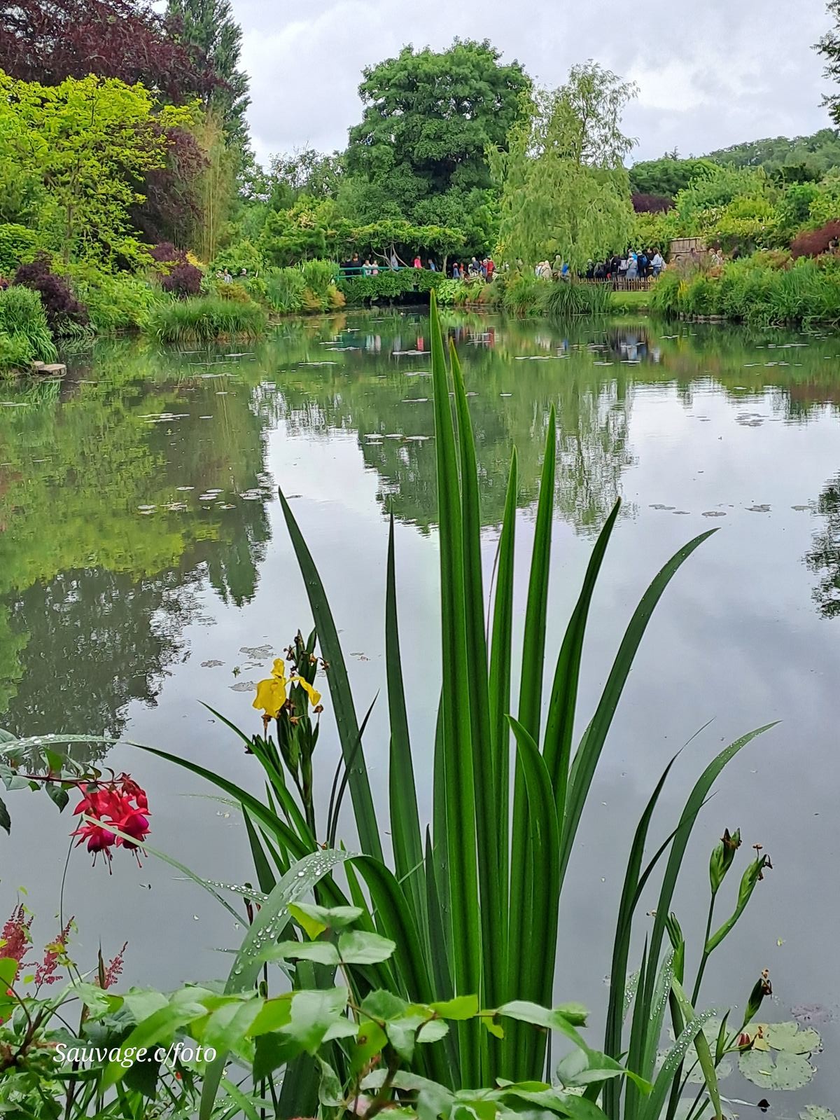 Giverny 125