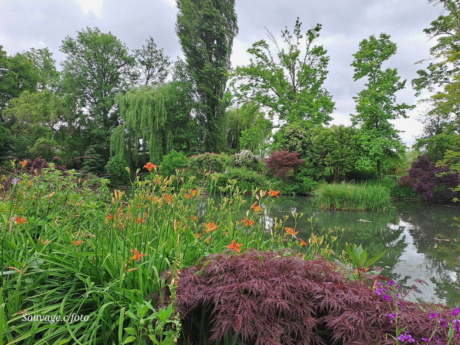Giverny 126