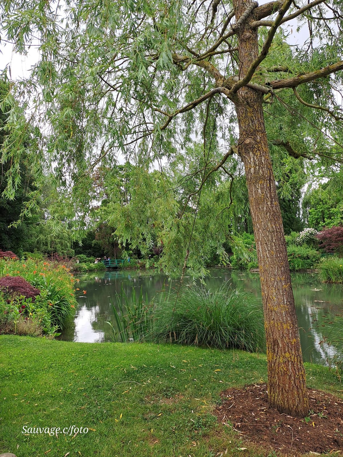 Giverny 127