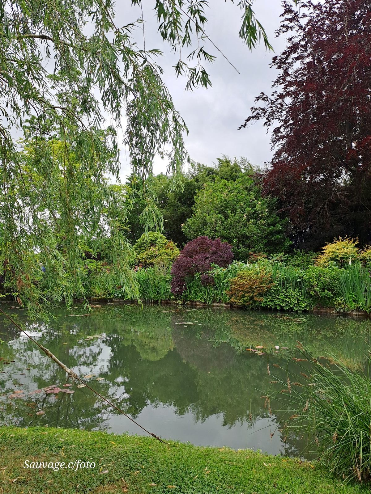 Giverny 128