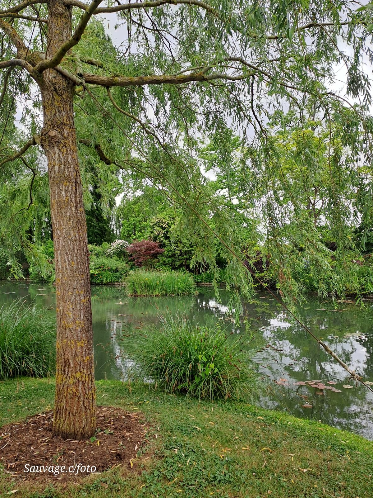 Giverny 129