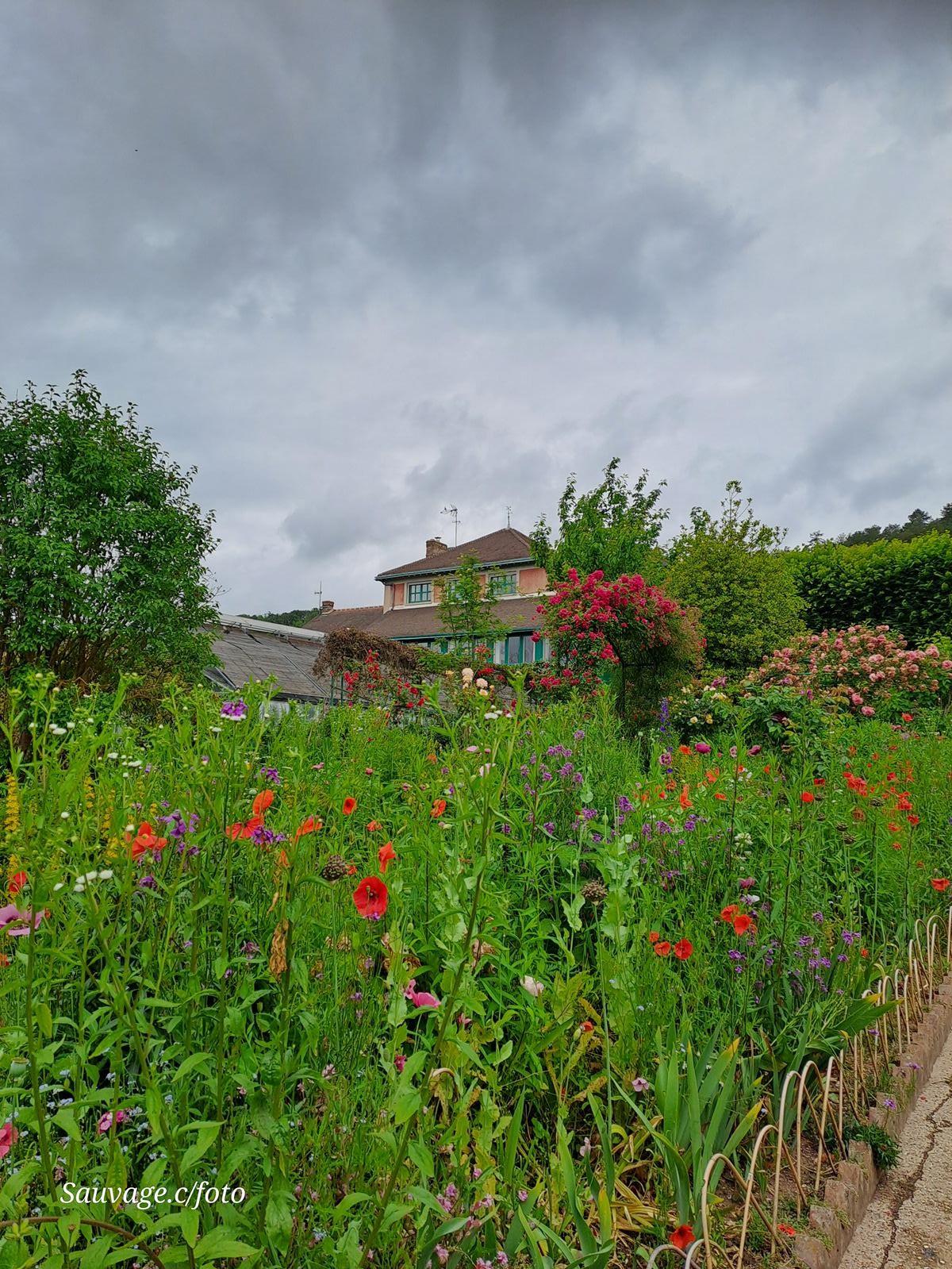 Giverny 130