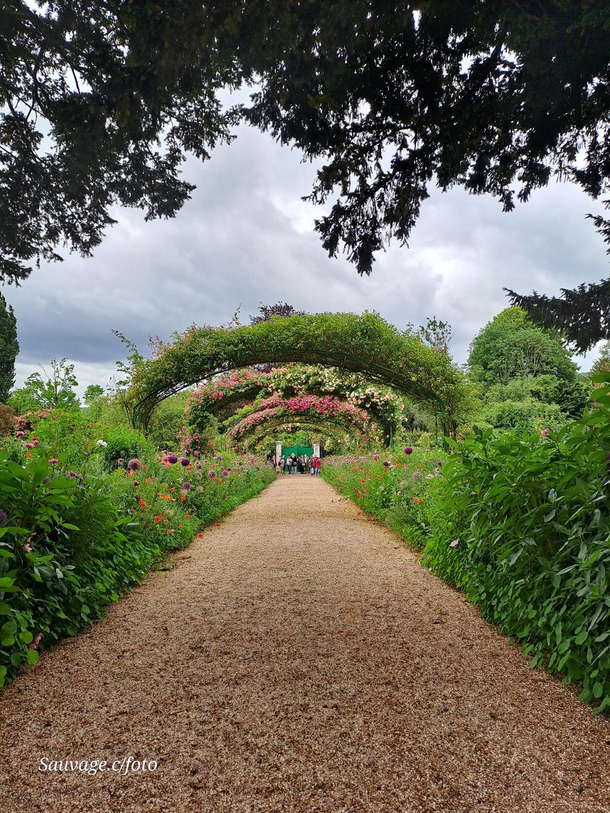 Giverny 131