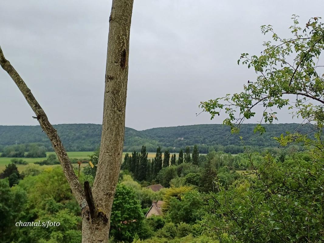 Giverny 137