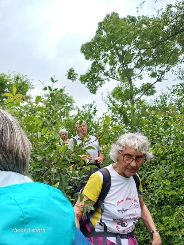 Giverny 143