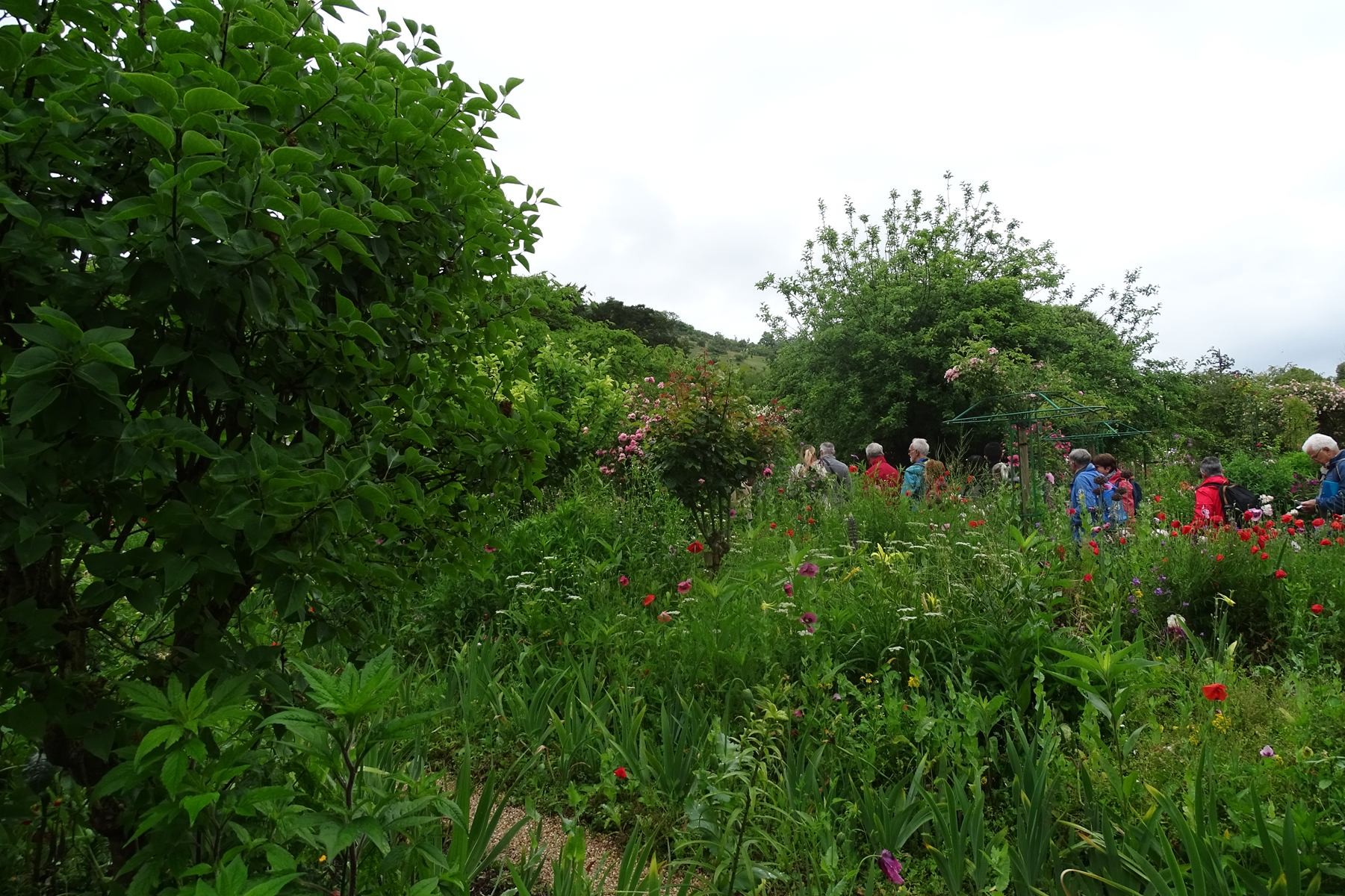 Giverny 178