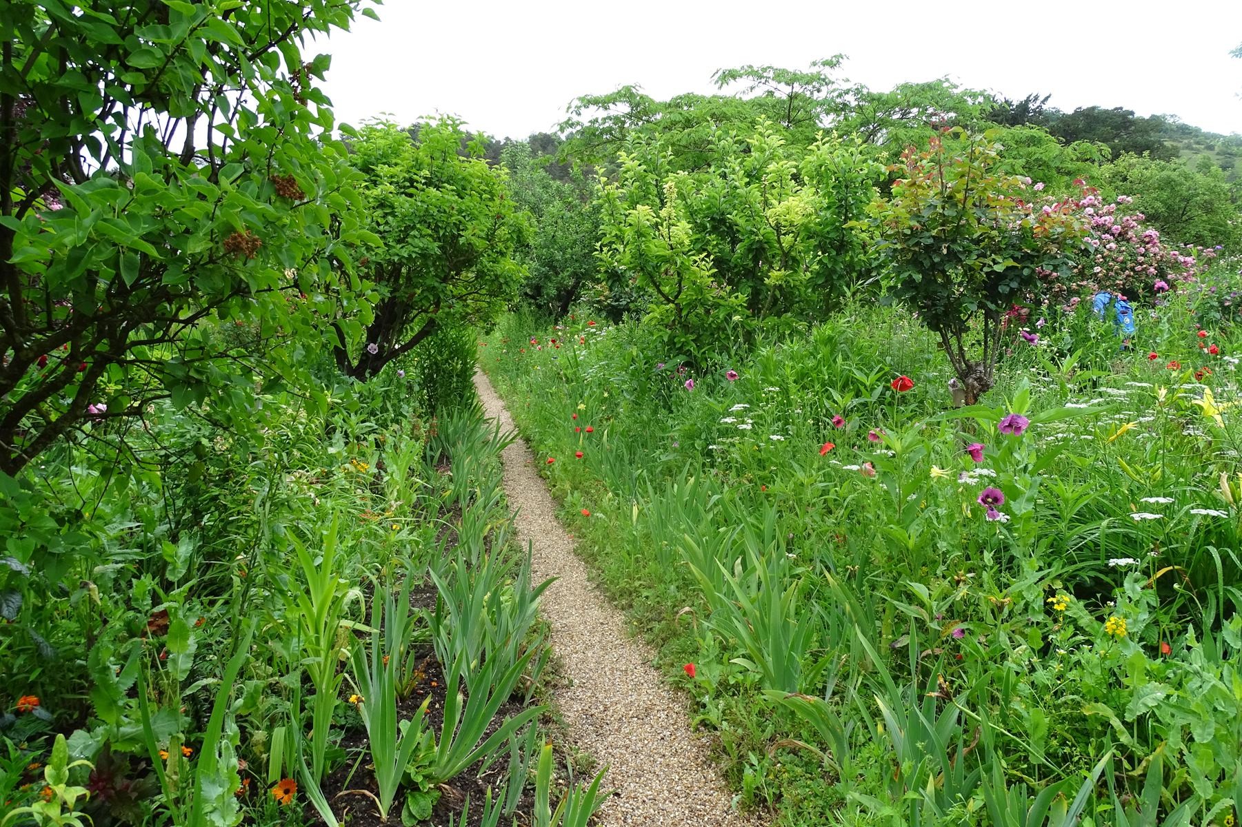 Giverny 179