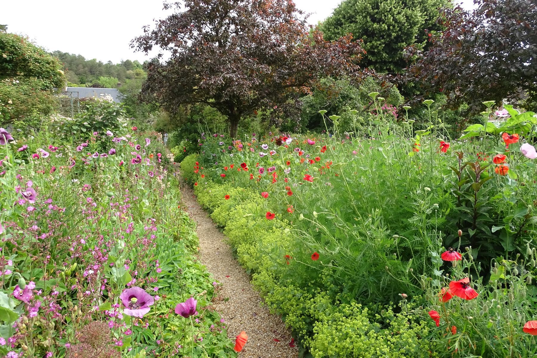 Giverny 193