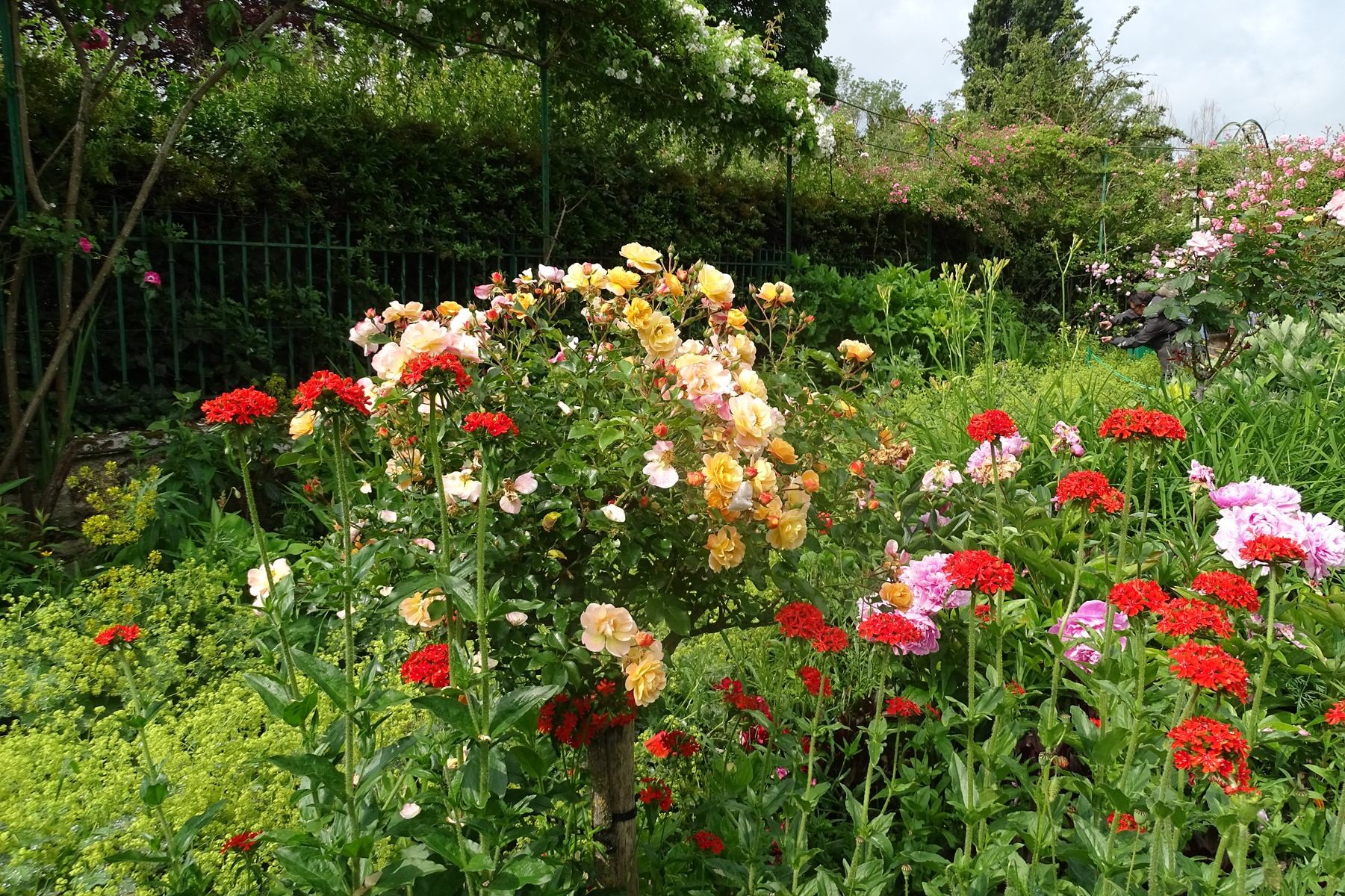Giverny 195