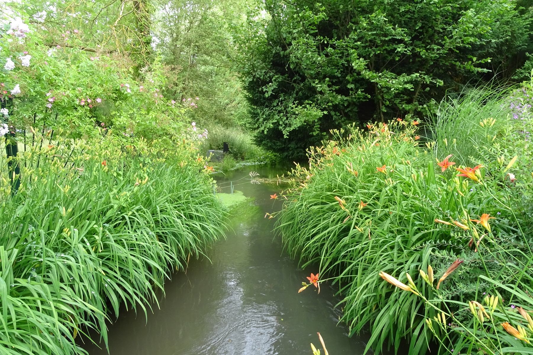Giverny 201