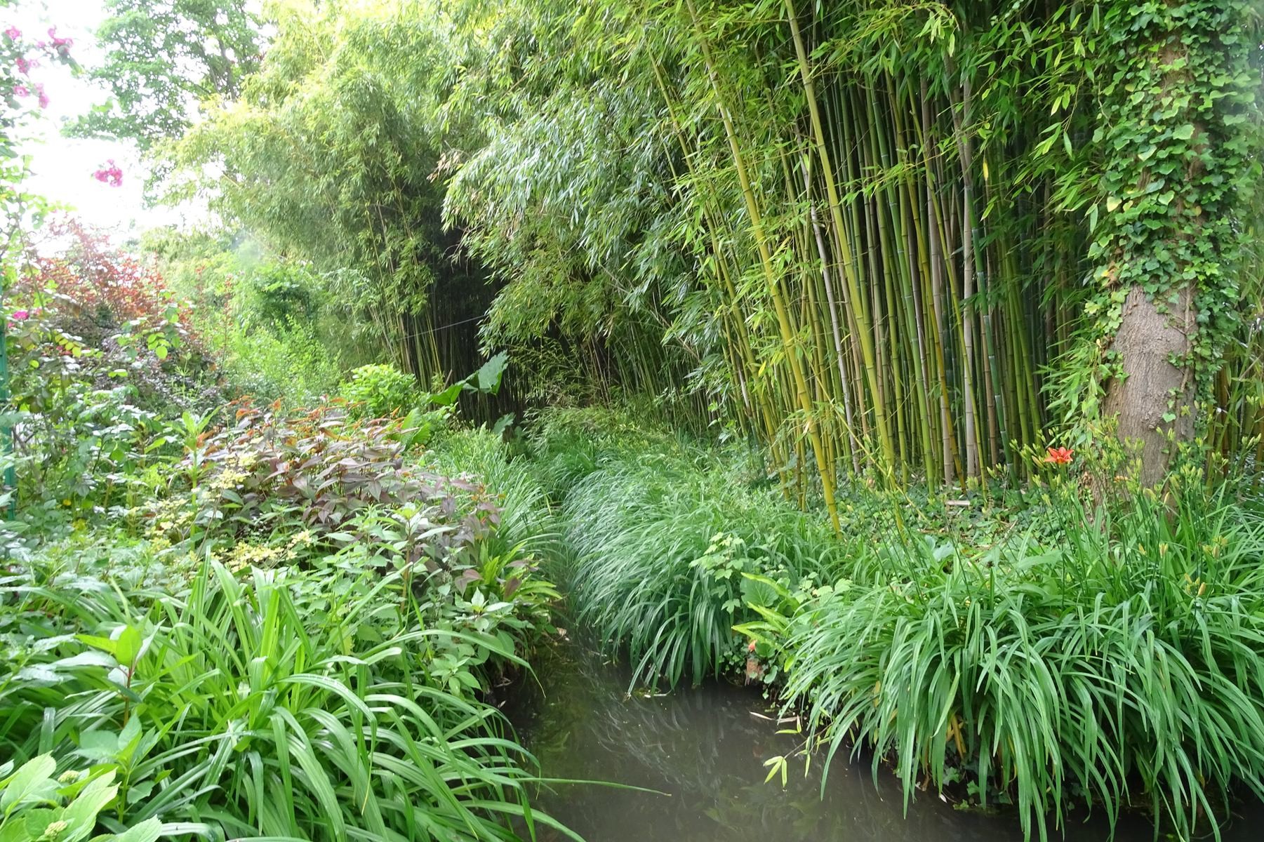 Giverny 202
