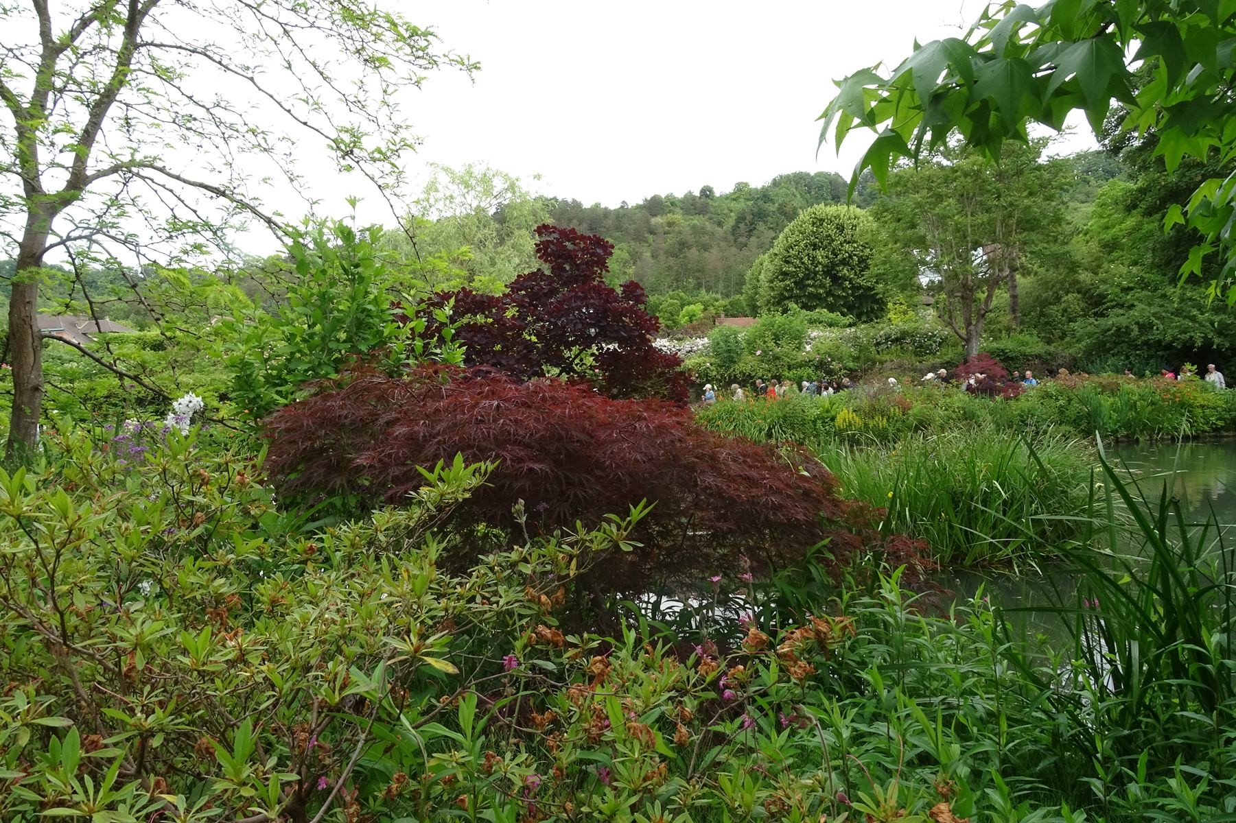 Giverny 204