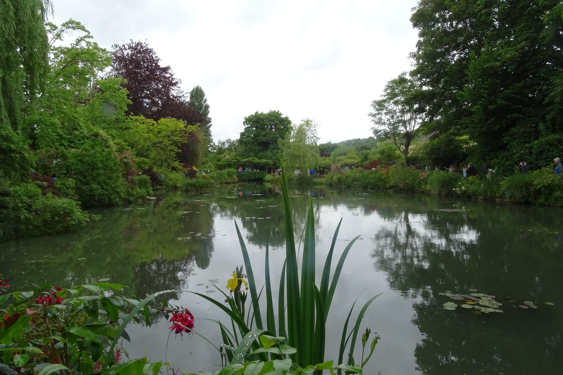 Giverny 206