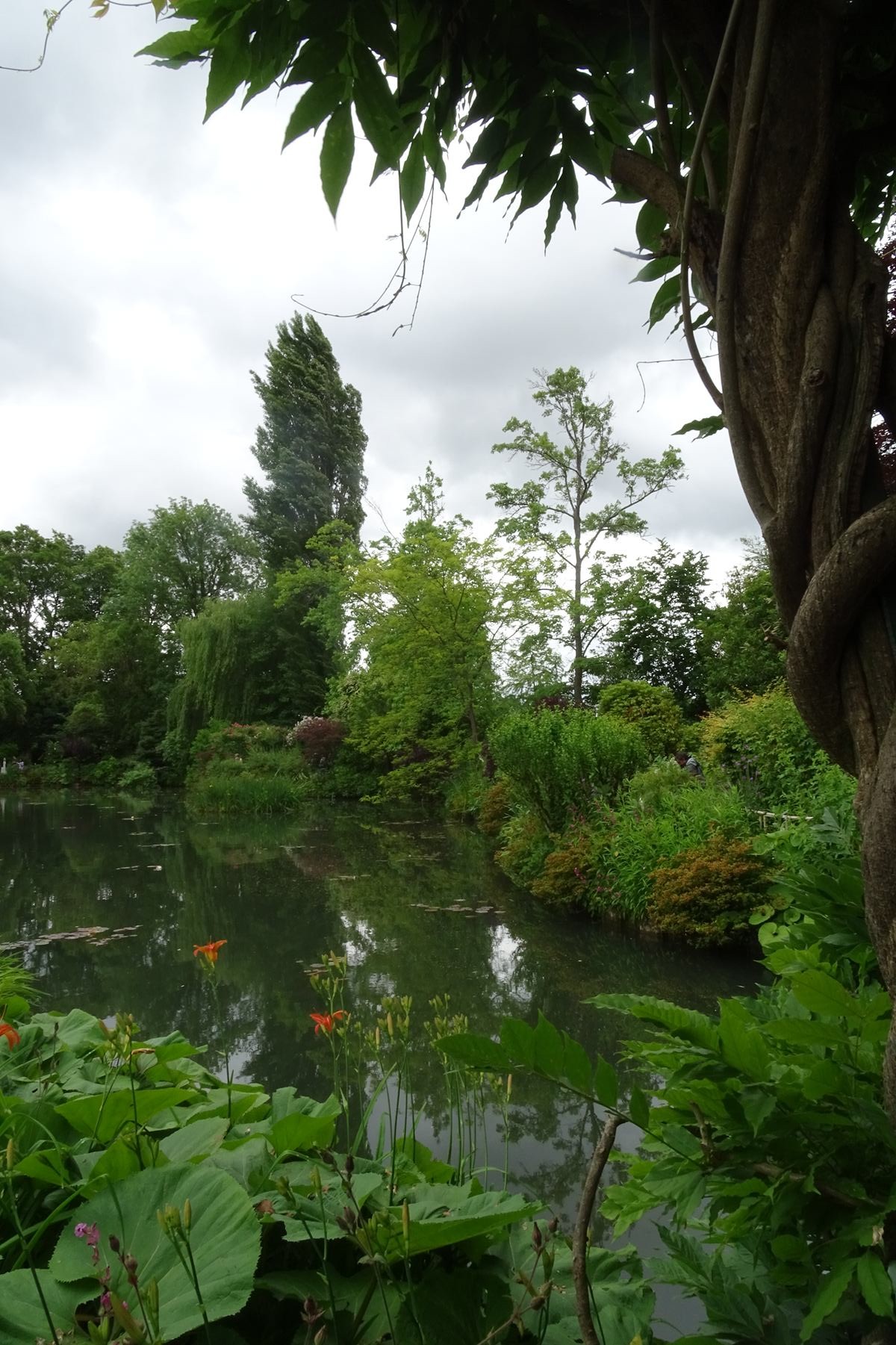 Giverny 207
