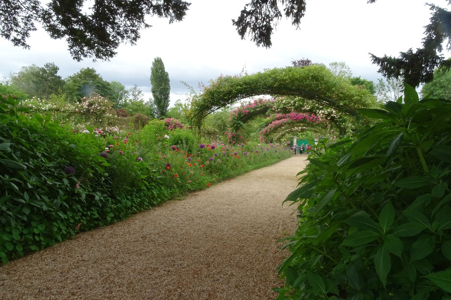 Giverny 208