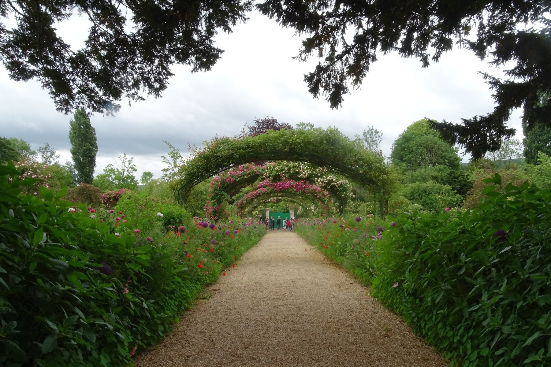 Giverny 209