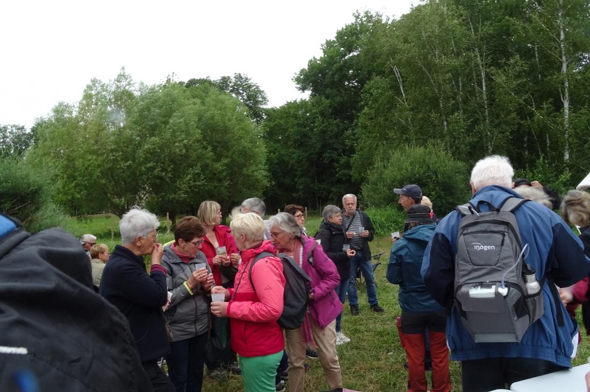 Giverny 213