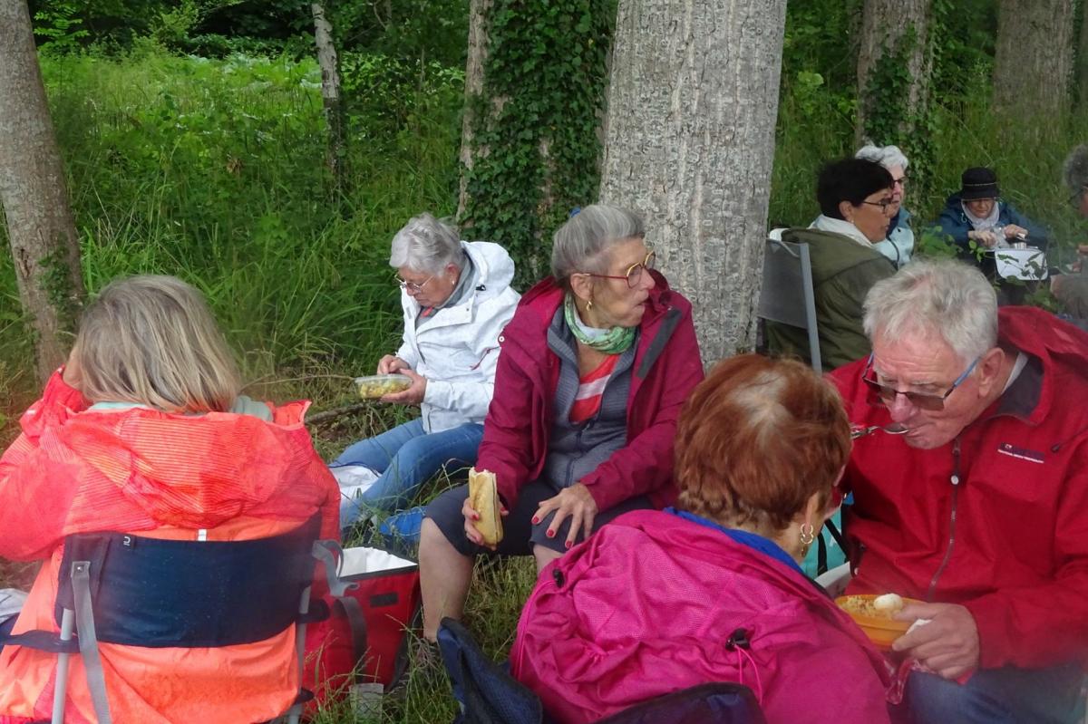 Giverny 228