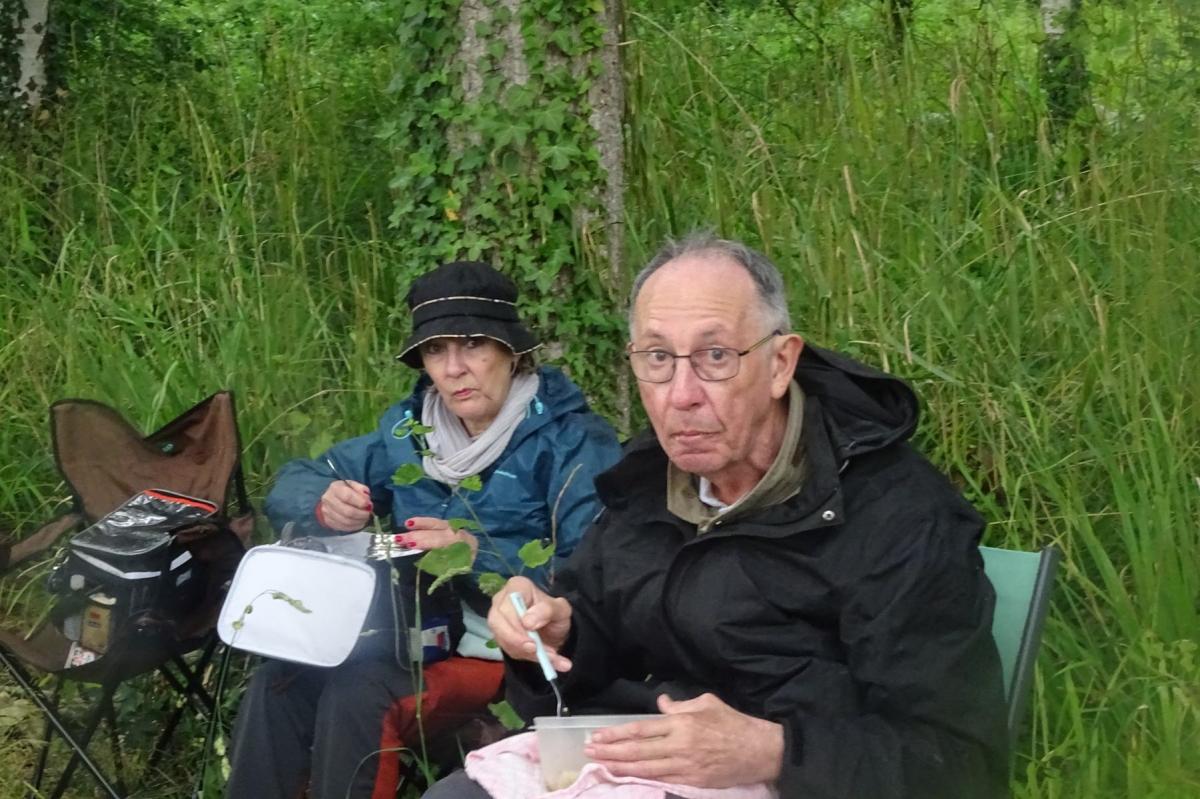 Giverny 233