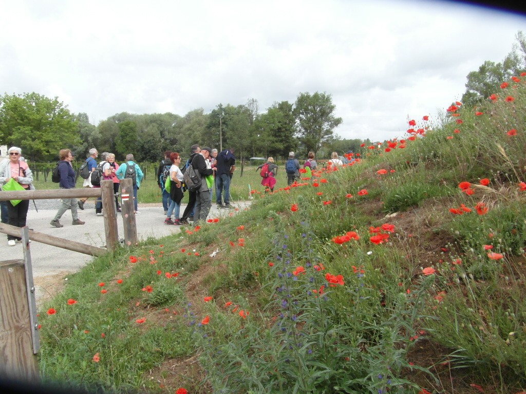 09 juin 2022  - Chenonceau