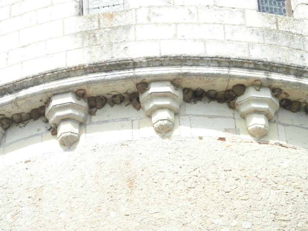 09 juin 2022  - Chenonceau