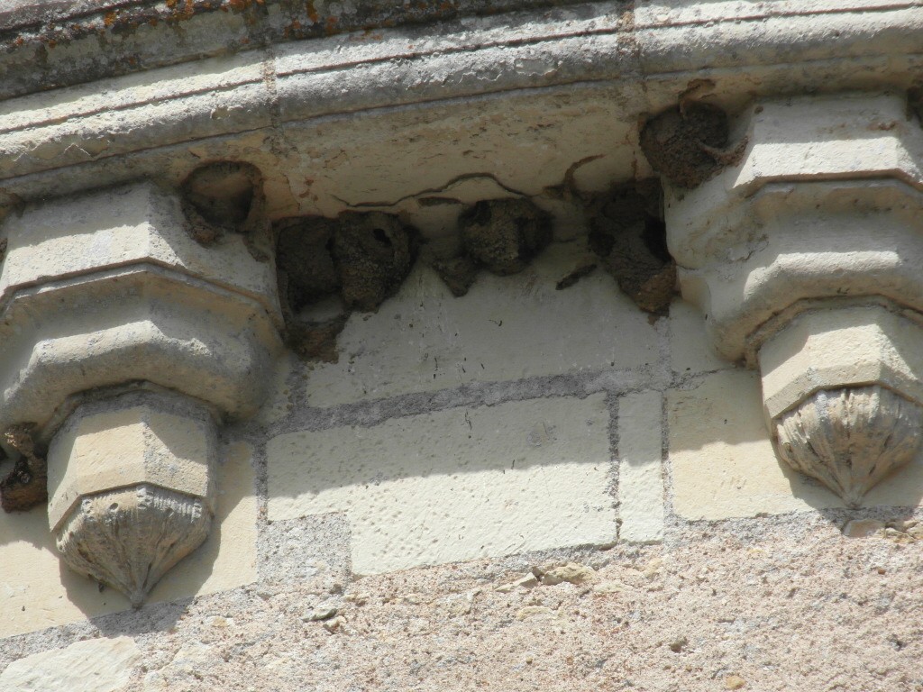 09 juin 2022  - Chenonceau