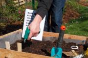 Compost