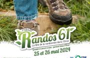 Rando61 2024